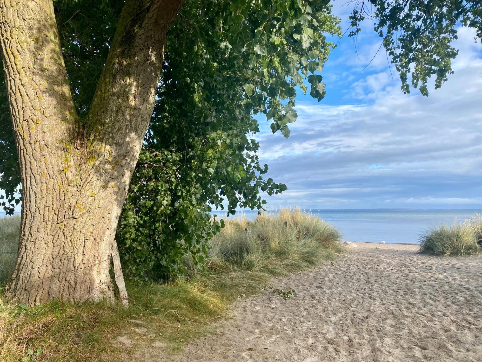 Feriendorf Suedstrand Haus 33 Pelzerhaken Zewnętrze zdjęcie
